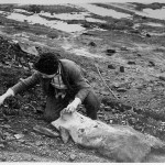 Stiritz boy hunting for coal